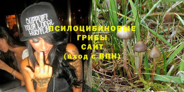 бошки Балахна