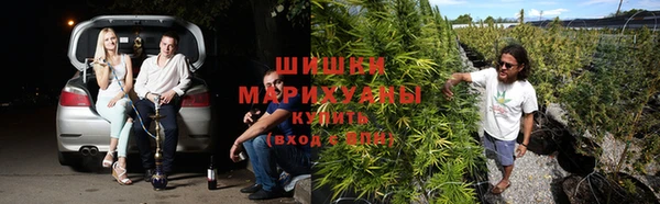 spice Белокуриха